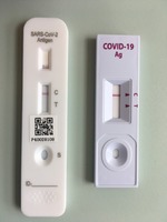Foto zdroj: https://upload.wikimedia.org/wikipedia/commons/8/82/COVID-19_rapid_test.jpg